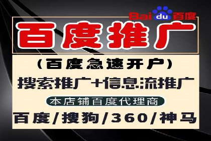 案例研究：SEM推广助力企业实现业绩增长